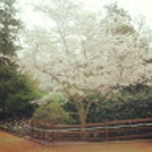 Meet your Posher, Lin